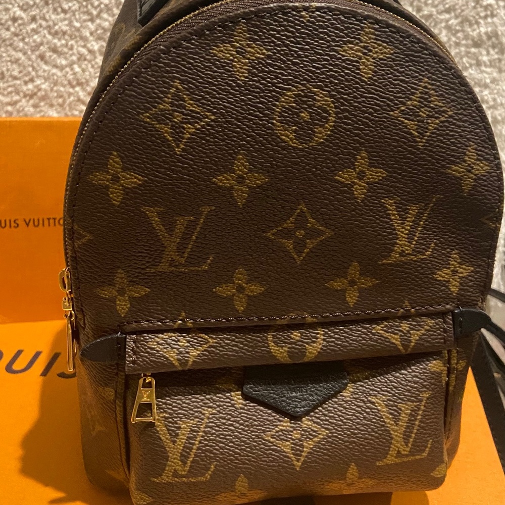 Louis Vuitton Palm Springs Mini